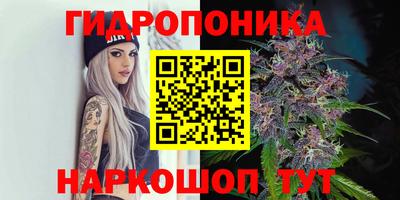 ГАЛЛЮЦИНОГЕННЫЕ ГРИБЫ Бугуруслан